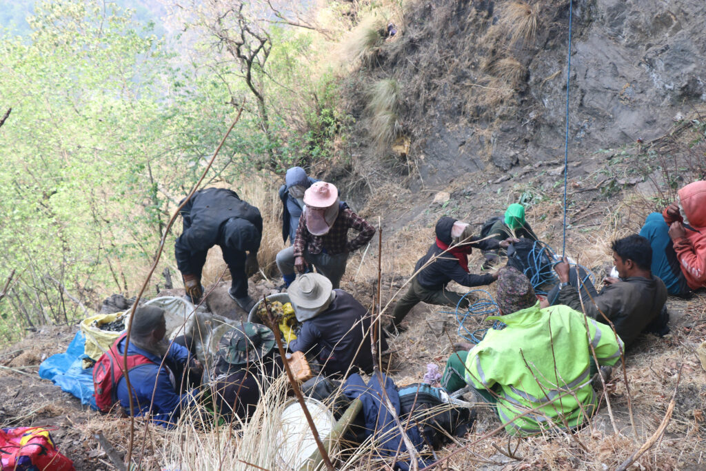 honey hunting team 