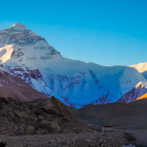 Spring Trekking in Nepal: A Complete Seasonal Guide for Himalayan Adventures