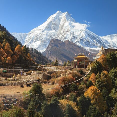 Mount Everest Trek & Climbing Guide: Complete 14 Day Trek