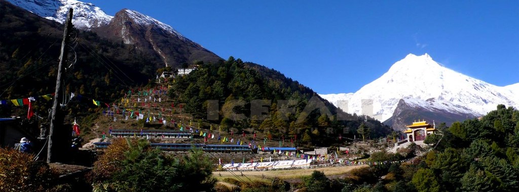  Golden-roofed Himalayan monastery with prayer flags in a green valley beneath snow-covered peaks