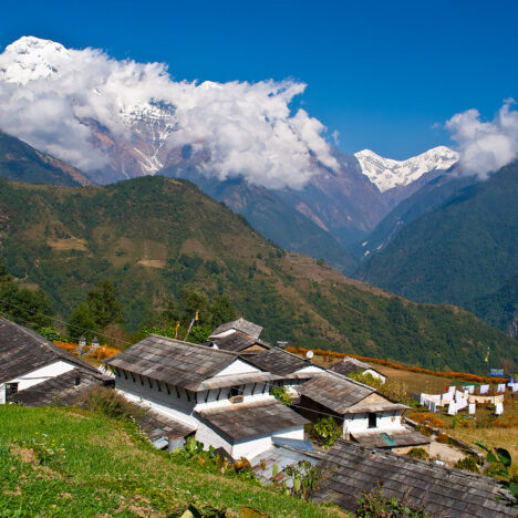 Chitwan National Park Nepal: A Journey into Nepal’s Untamed Nature