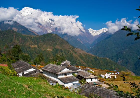 Mountain village in lush Himalayan valley with snow-capped peaks